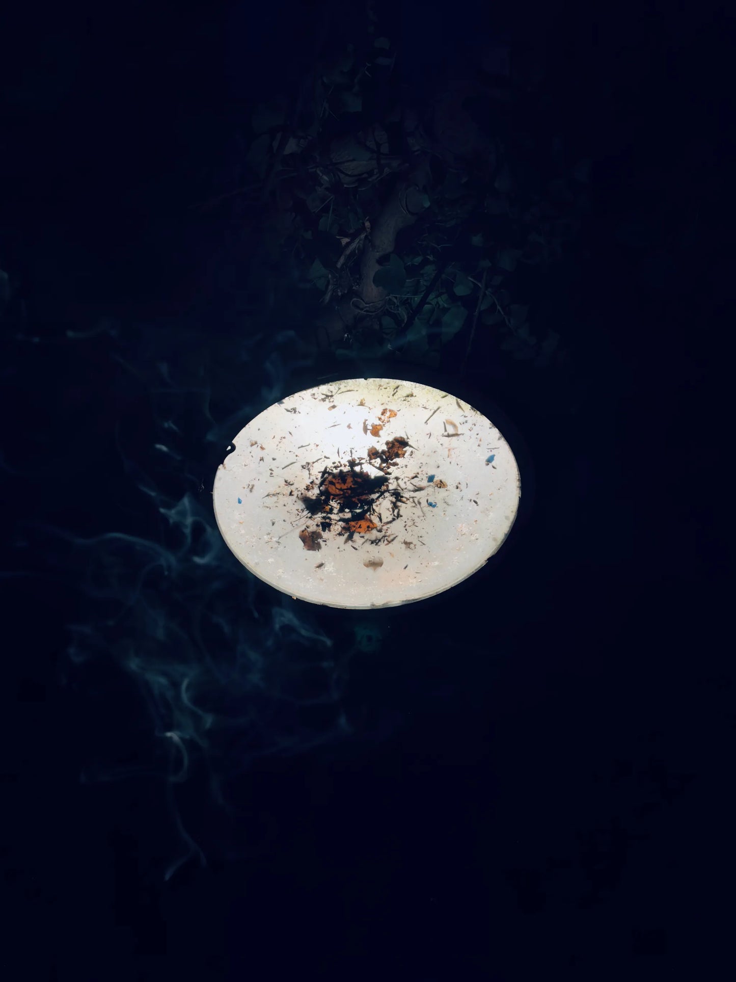 IIM fine art print