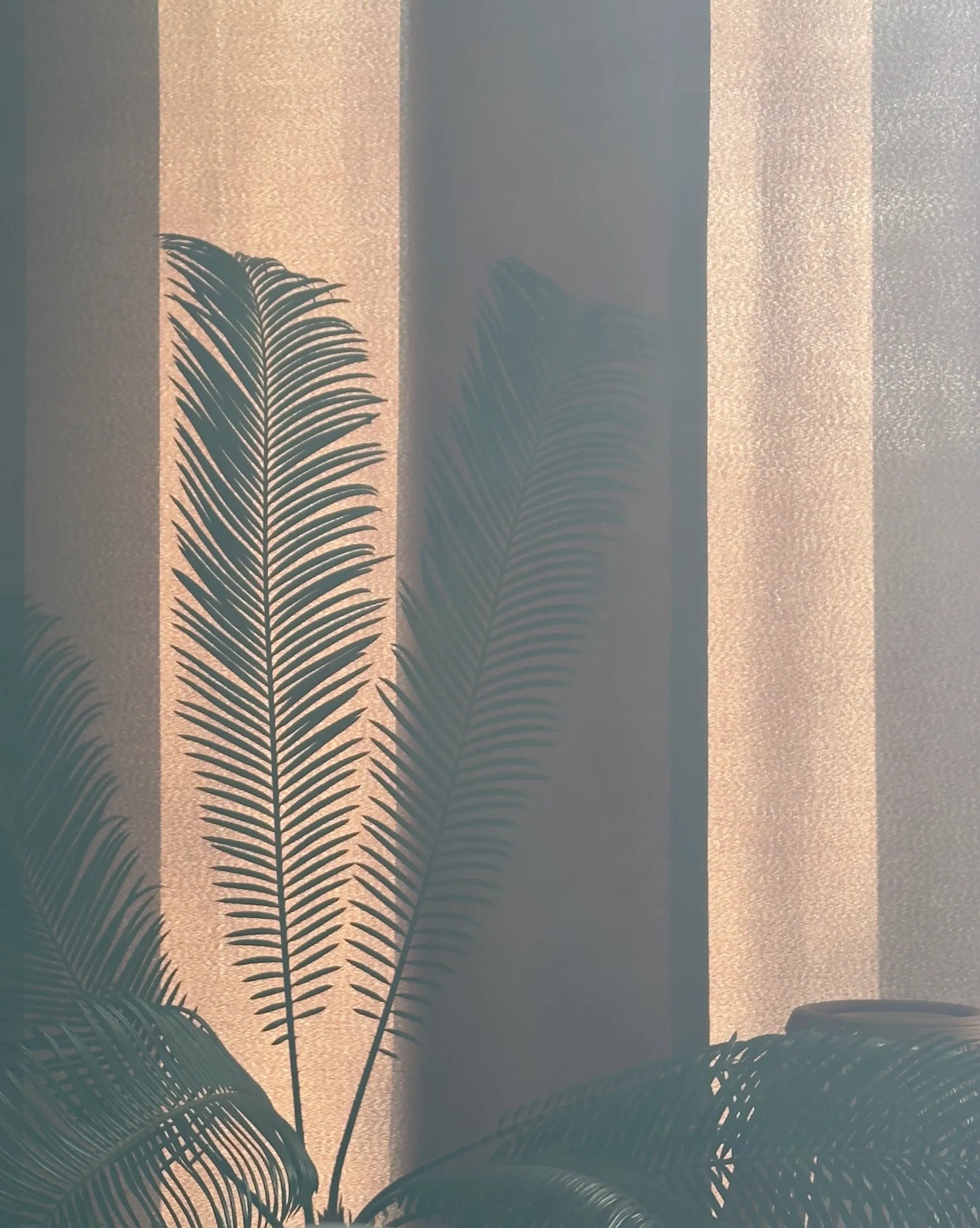 IIM fine art print