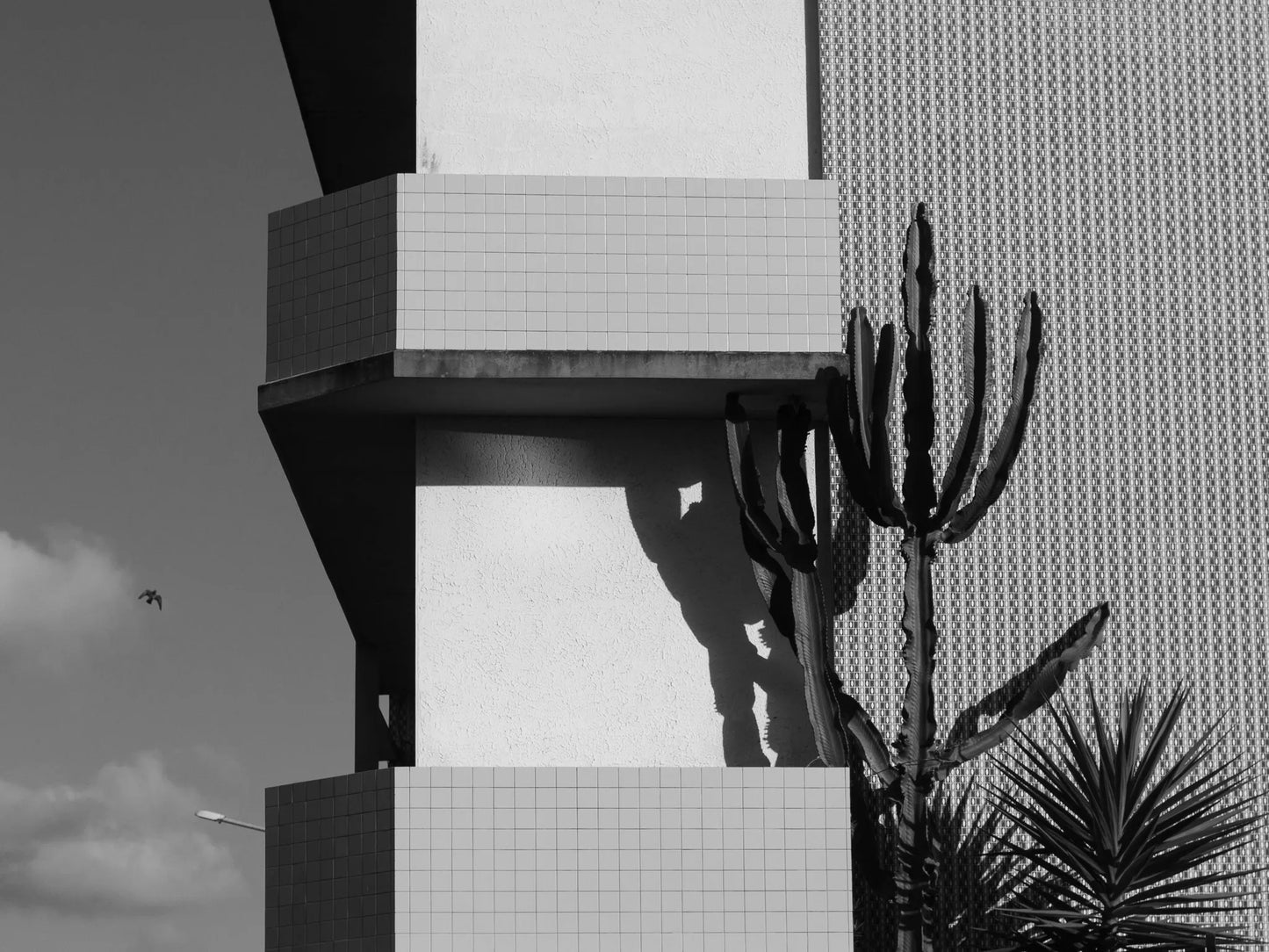IIM fine art print