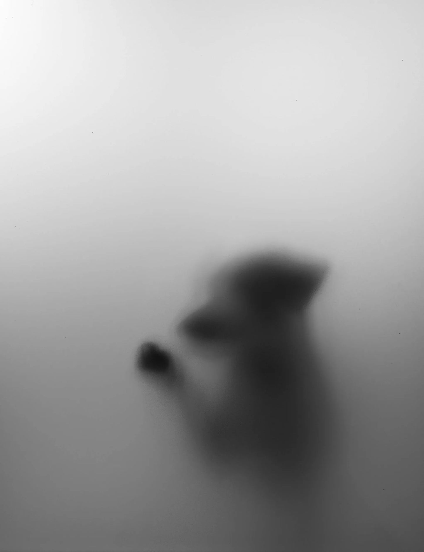 IIM fine art print